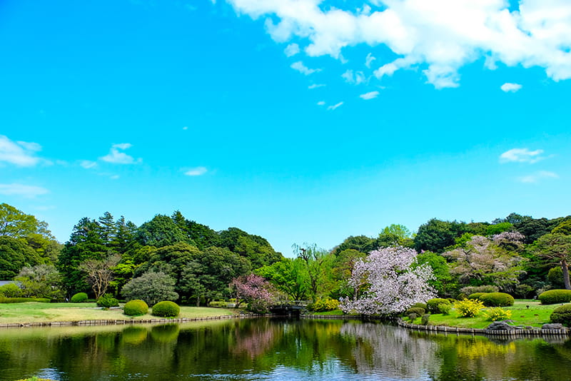 日本的四季